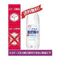 【送料無料】サンガリア 強炭酸水 伊賀の天然水 1000ml 1L 12本入 1ケース（12本） 1ケース1個口発送 | のむのむヤフー店