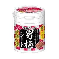 ノーベル 男梅シートボトル 75g×4個 | のすたる堂