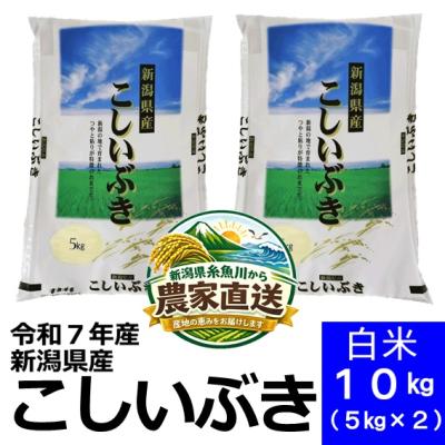 米 10kg（こしいぶき）の商品一覧 通販 - Yahoo!ショッピング