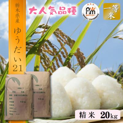 ゆうだい21のおすすめ人気商品一覧 通販 - Yahoo!ショッピング