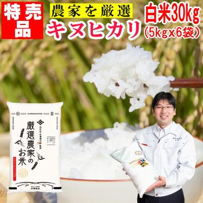 キヌヒカリ 通販 - Yahoo!ショッピング