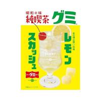 アイデアパッケージ 純喫茶グミ レモンスカッシュ 40g×10袋入×(2ケース)｜ 送料無料 | のぞみマーケット