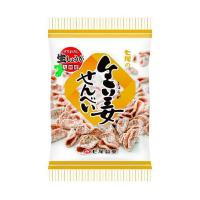 七尾製菓 生姜せんべい 80g×10袋入｜ 送料無料 | のぞみマーケット