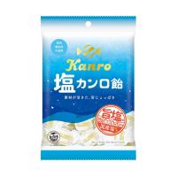 【送料無料・メーカー/問屋直送品・代引不可】カンロ 塩カンロ飴 140g×6袋入 | のぞみマーケット