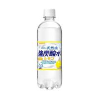 サンガリア 伊賀の天然水 強炭酸水 レモン 500mlペットボトル×24本入×(2ケース)｜ 送料無料 | のぞみマーケット