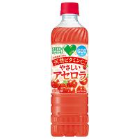 サントリー GREEN DA・KA・RA(グリーン ダカラ) やさしいアセロラ 600mlペットボトル×24本入｜ 送料無料 | のぞみマーケット