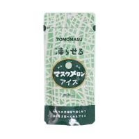 友桝飲料 果実アイス マスクメロン 80gパウチ×12本入×(2ケース)｜ 送料無料 | のぞみマーケット