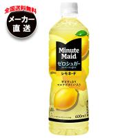 コカコーラ ミニッツメイド ゼロシュガーレモネード 600mlペットボトル×24本入×(2ケース) メーカー直送｜全国送料無料 | のぞみマーケット