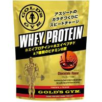 GOLD’S GYM ゴールドジム ホエイプロテイン チョコレート風味 360g 830289 | NTS　Store