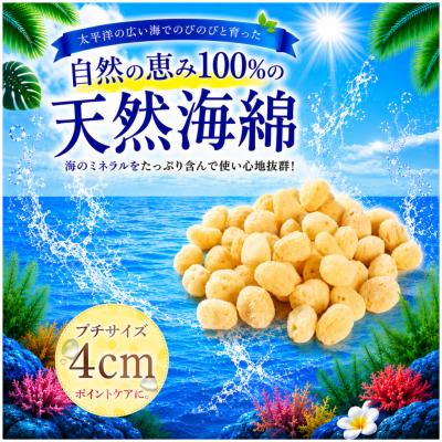 ヌルジャパン Yahoo!ショップ - 《レディース》天然海綿スポンジ・Bepp