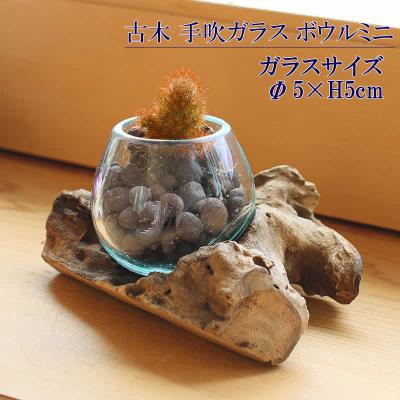 バリ島 流木ガラスの商品一覧 通販 - Yahoo!ショッピング バリ島 流木ガラスの商品一覧 通販 - Yahoo!ショッピング