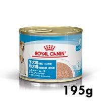 ロイヤルカナン 犬 スタータームース マザー＆ベビードッグ 195g ドッグフード フード 犬用 犬 正規品 | にゃんこの生活