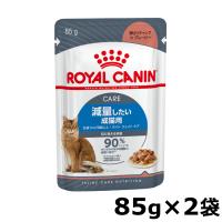 ロイヤルカナン 猫 ウルトラライト ウェット 85g 2個セット (成猫用 生後12ヵ月齢以上 肥満気味の猫用 FHN-WET プレミアム キャットフード) 正規品 | にゃんこの生活