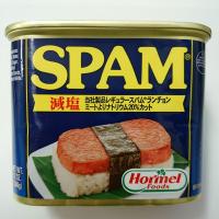 SPAM（スパム）　減塩　ランチョンミート　340ｇ　※宅急便代ご確認ください【常温便】送料別 | おきなわ物産センター