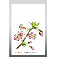 花 イラスト ポストカード 絵葉書 イラスト画 ふる里の花 青森県 リンゴ 46 Aomori がま口財布 おび蔵 通販 Yahoo ショッピング