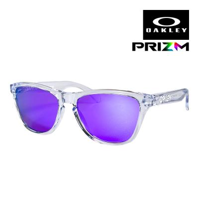 オークリー　フロッグスキン　クリア　フレーム　レア　試着のみ オークリー フロッグスキン クリア フレーム レア 試着のみ
