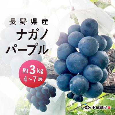 ナガノパープルのおすすめ人気ランキングTOP100 - Yahoo