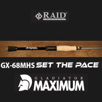 RAID JAPAN セット激安 商品（RAID JAPAN／アウトドア、釣り、旅行用品）（釣種：バス）の