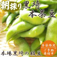 おつまみ 枝豆 新潟黒埼（黒崎）本茶豆 1.5kg 黒埼茶豆 お中元 ギフト 産地直送 お取り寄せ 