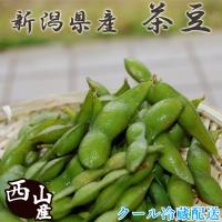 枝豆 新潟県産特別栽培茶豆 1.5kg 新鮮朝採り 御中元 お取り寄せ ギフト 