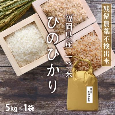 無農薬玄米（お米の品種：ヒノヒカリ）のおすすめ人気商品一覧 通販