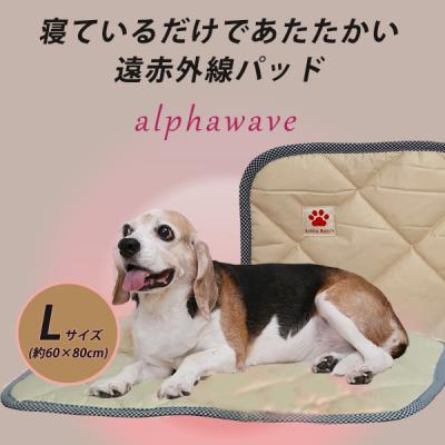 アルファウェーブのおすすめ人気商品一覧 通販 - Yahoo!ショッピング
