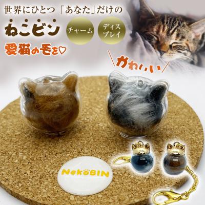 猫瓶の商品一覧 通販 - Yahoo!ショッピング