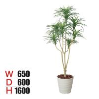 ポピー 観葉植物 ユッカ フェイクグリーン 観葉植物 光触媒加工 高さ1600mm 173A250 | オフィス家具通販のオフィスコム