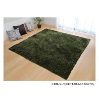 ソフトシャギー調ラグ 「ラルジュ」 2畳 グリーン 約185×185cm 1280200121203 | オフィスマーケットYahoo!店