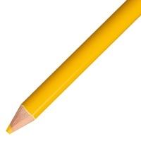 トンボ鉛筆 / 色鉛筆 単色 12本入 1500-04 山吹 / 色鉛筆 / p525209 | オフィスマーケットYahoo!店
