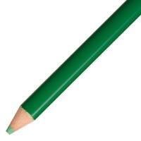 トンボ鉛筆 / 色鉛筆 単色 12本入 1500-07 緑 / 色鉛筆 / p525212 | オフィスマーケットYahoo!店