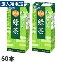 エルビー 緑茶 200ml×60本 お茶 おちゃ 日本茶 緑茶 紙パック テトラパック 飲料 ドリンク『送料無料（一部地域除く）』 | オフィストラスト