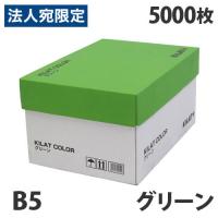 カラーコピー用紙 グリーン B5 5000枚『送料無料（一部地域除く）』 | オフィストラスト