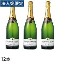 『取寄品』ボーモン・デ・クレイエール ボーモン・デ・クレイエール グランド・レゼルヴ ブリュット 750ml×12本『送料無料（一部地域除く）』 | オフィストラスト