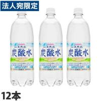 炭酸水 1L 伊賀の天然水炭酸水 12本 サンガリア『法人宛のみ送料無料(一部地域除く)』 | オフィストラスト