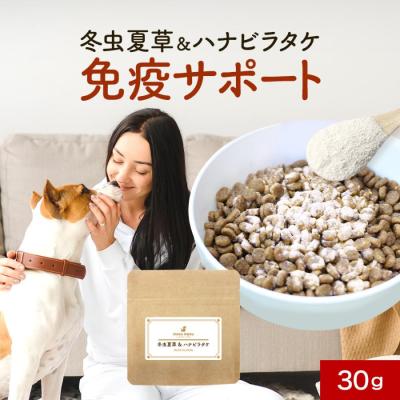 その他ペット用品、生き物 愛犬用 愛猫用 花びらたけ 【お得な２個セット】即出荷 MH-3 ハナビタケ含有加工食品 9g(300mg×30粒)×2箱 はなびらたけバイオMH3 ギフト包装対応 