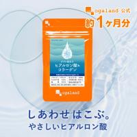 W低分子ヒアルロン酸 &amp; コラーゲン （約1ヶ月分） ヒアルロン酸 サプリ エイジングケア 美容 サプリメント | オーガランド Yahoo!店