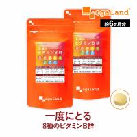 8種のビタミンB群 (約6ヶ月分) ビタミンB ビタミンB12 サプリ サプリメント 栄養機能食品 葉酸 B2 ナイアシン パントテン酸 ビオチン 目安 1日2粒 | オーガランド Yahoo!店