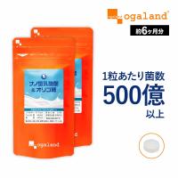 乳酸菌 サプリメント ナノ型乳酸菌 ＆ オリゴ糖 （約6ヶ月分）ダイエット 美容 ヨーグルトより手軽  サプリ 善玉菌 ビフィズス菌 健康 ポイント利用