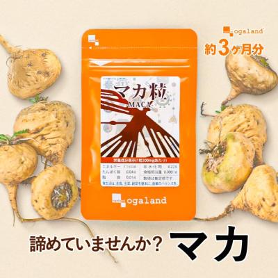 マカオリゴのおすすめ人気商品一覧 通販 - Yahoo!ショッピング