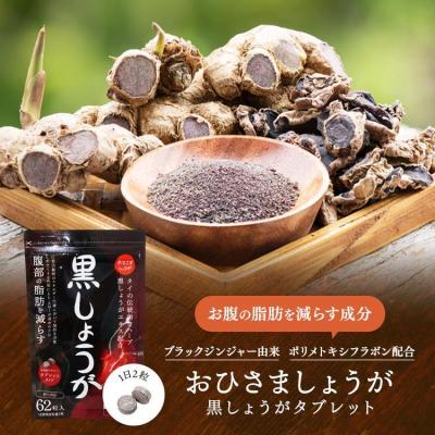 生姜（ダイエット、健康グッズ）のおすすめ人気商品一覧 通販 - Yahoo