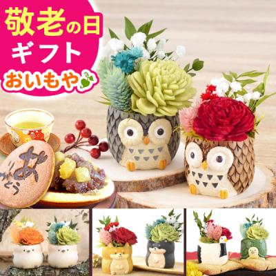 【FELISSIMO】ママが作って贈りたい宝物みたいなおひなさまの会全6回セット おいもや スイーツと花ギフト - 母の日プレゼント2026 人気ギフト