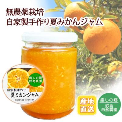無農薬みかんのおすすめ人気商品一覧 通販 - Yahoo!ショッピング
