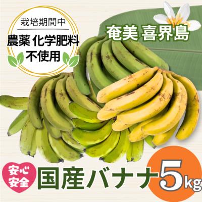 島バナナのおすすめ人気商品一覧 通販 - Yahoo!ショッピング