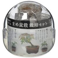 聖新陶芸 育てるカプセル まめ盆栽 サイズ：約φ70 H65 GD-954 | お買い得STORE