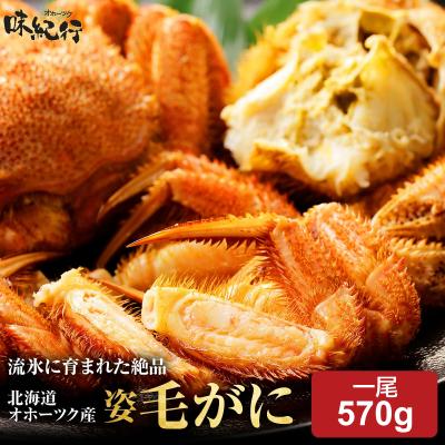 毛ガニ訳ありのおすすめ人気商品一覧 通販 - Yahoo!ショッピング