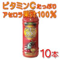 アセロラ100　500ml×10本（アセロラ100％ジュース）　沖縄特産販売　送料無料　ビタミンC | 沖縄健康食品webショップ