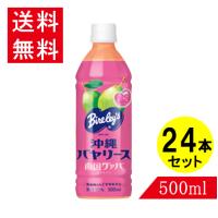 グァバジュース 沖縄バヤリース グァバ 500ml×24本 ケース販売 送料無料 グアバ フルーツ ギフト | くすりの健康家族