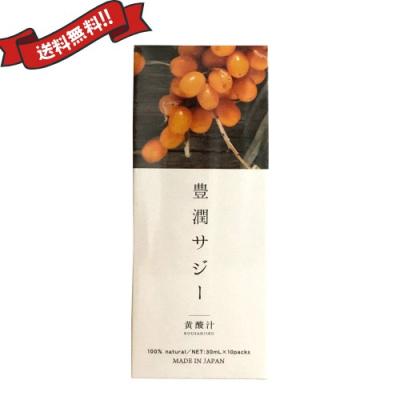 豊潤サジーのおすすめ人気商品一覧 通販 - Yahoo!ショッピング