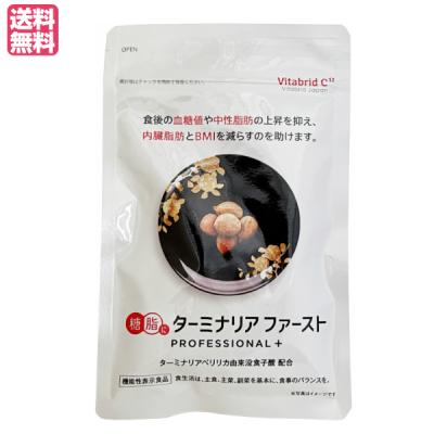 ターミナリアファーストの商品一覧 通販 - Yahoo!ショッピング ターミナリアファーストの商品一覧 通販 - Yahoo!ショッピング